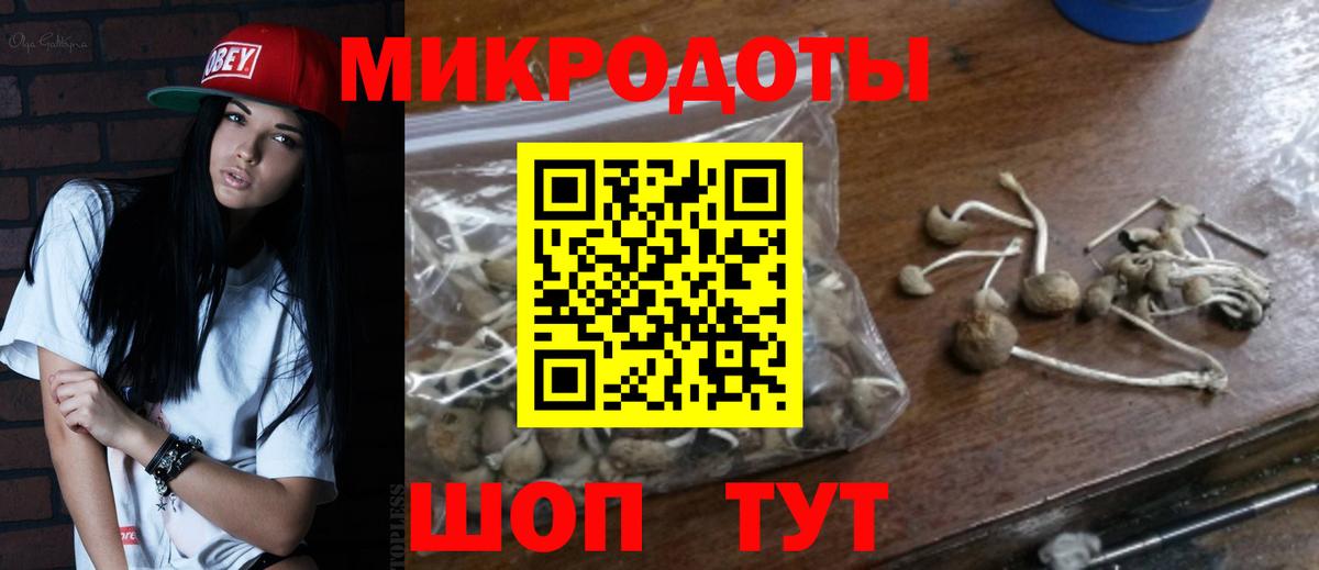 Галлюциногенные грибы MAGIC MUSHROOMS Кирово-Чепецк